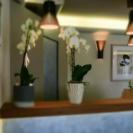 酒店 Sirenetta 格拉多